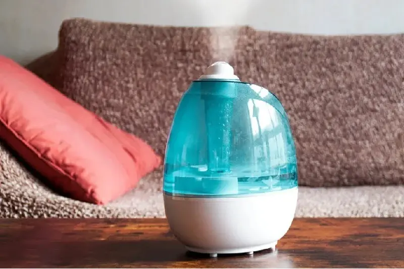 ۵ محصول به درد بخور برای زمستان